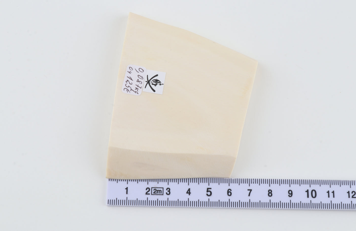 White mammoth ivory segment