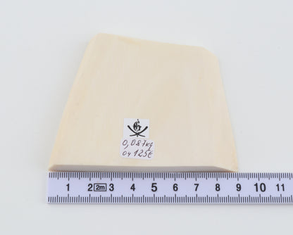 White mammoth ivory segment