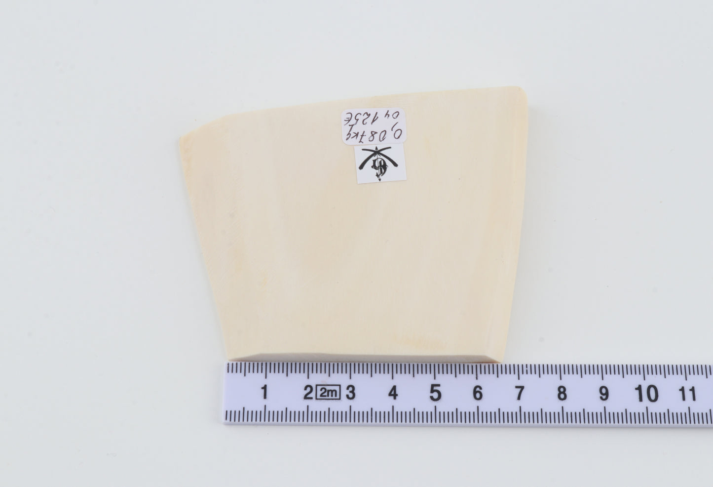 White mammoth ivory segment
