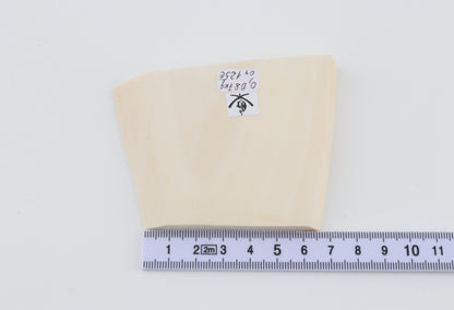 White mammoth ivory segment