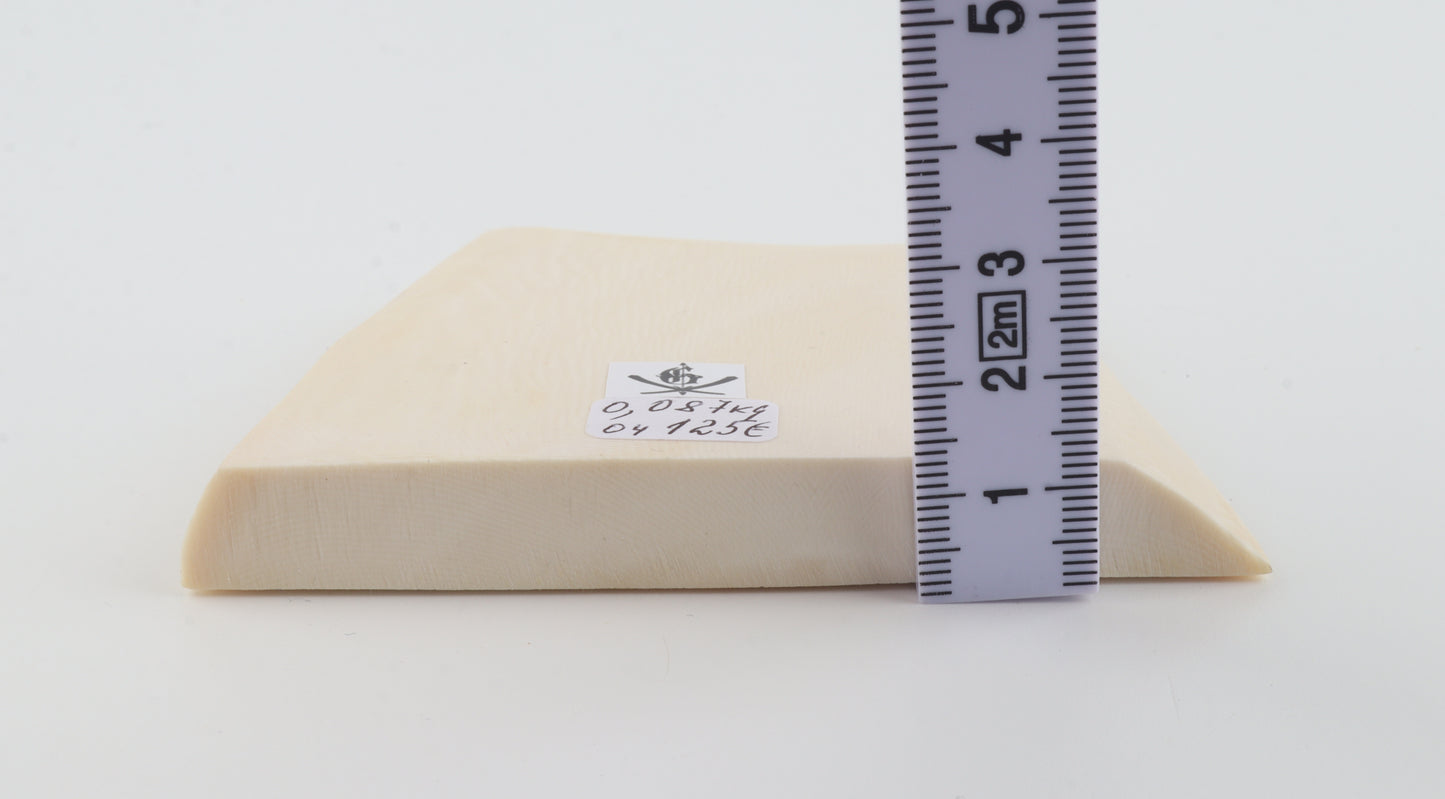 White mammoth ivory segment
