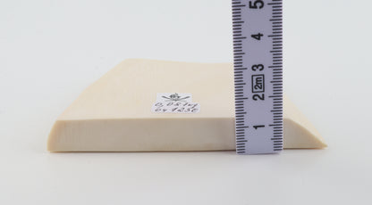 White mammoth ivory segment