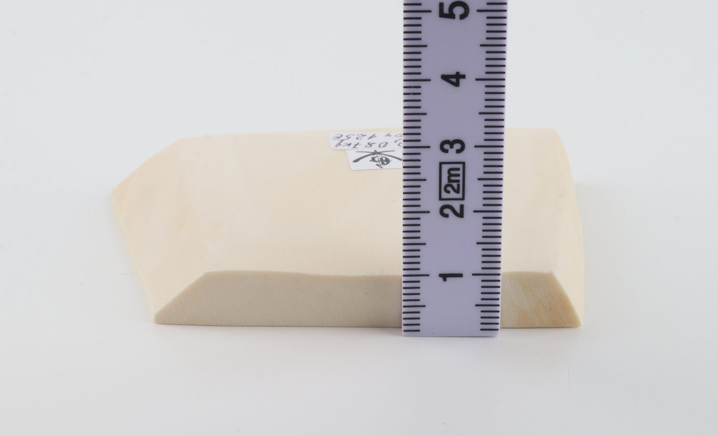 White mammoth ivory segment