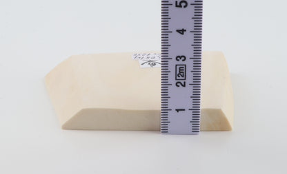 White mammoth ivory segment