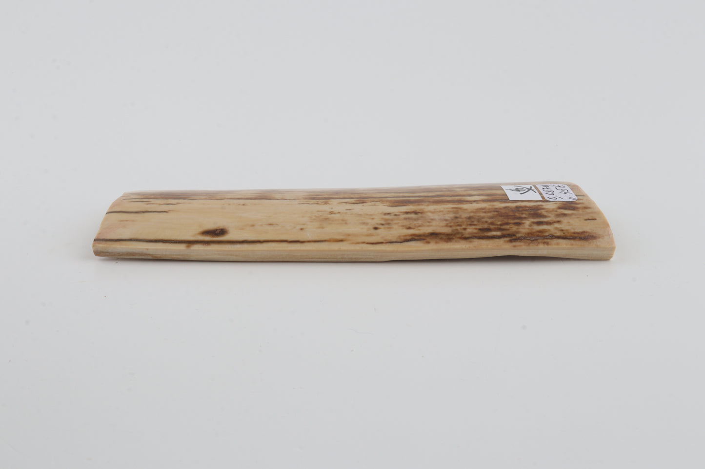 Beige-orange mammoth bark