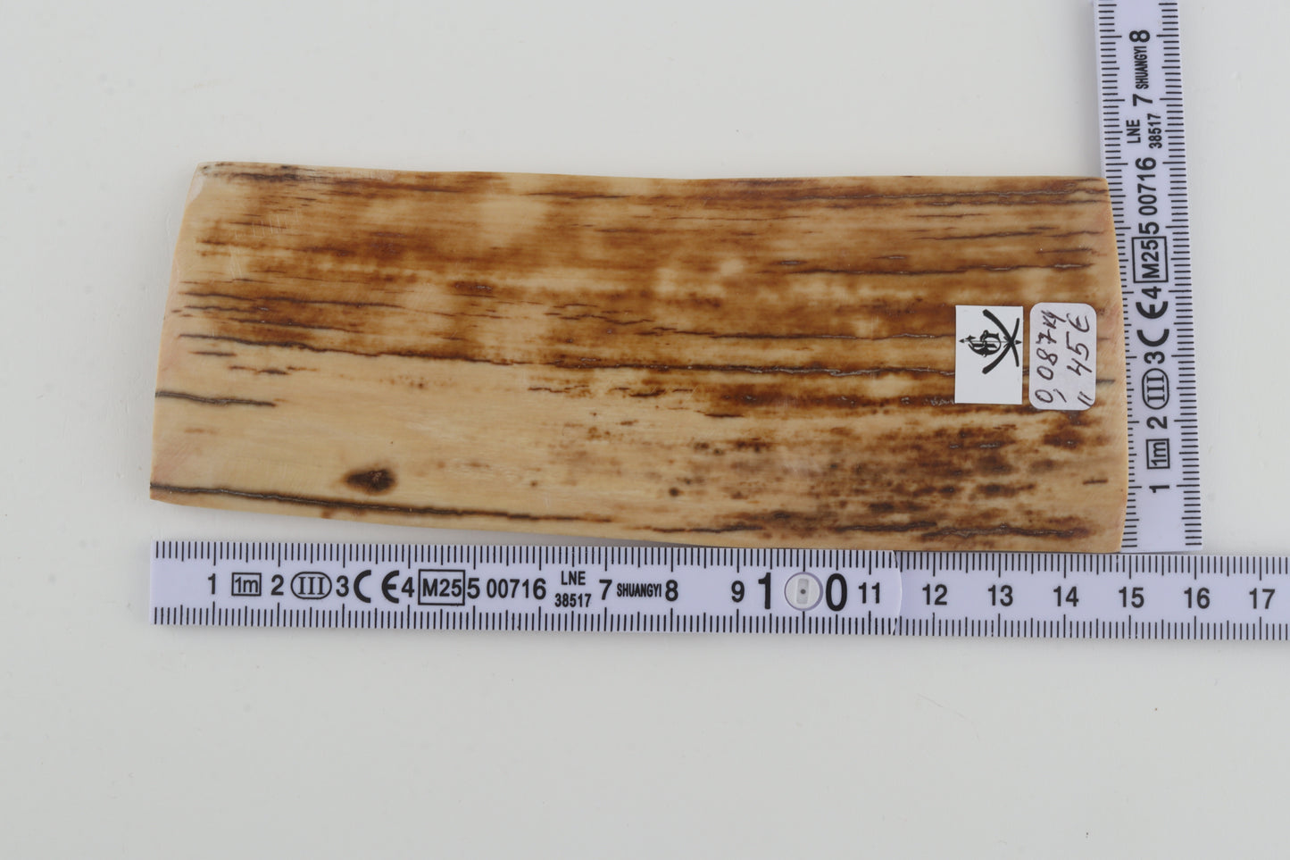 Beige-orange mammoth bark