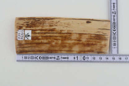 Beige-orange mammoth bark