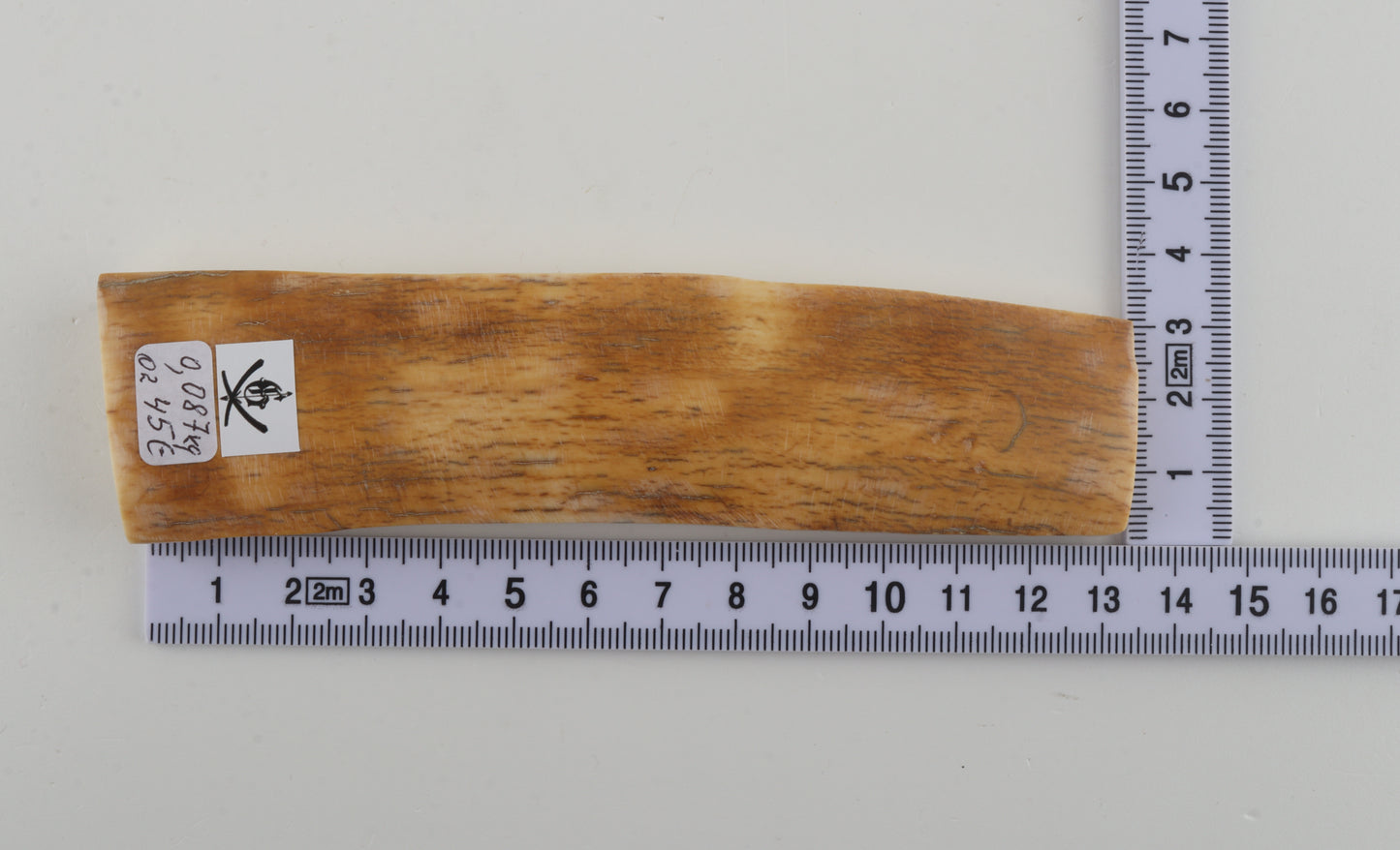 Yellow-orange mammoth bark