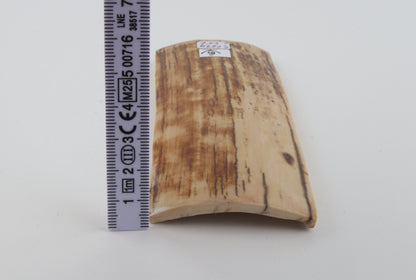 Beige-orange mammoth bark