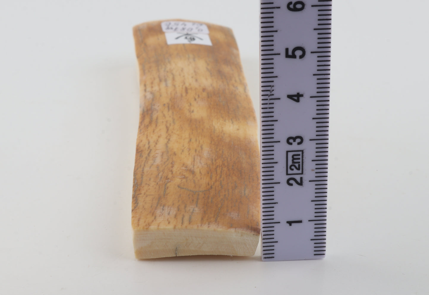Yellow-orange mammoth bark
