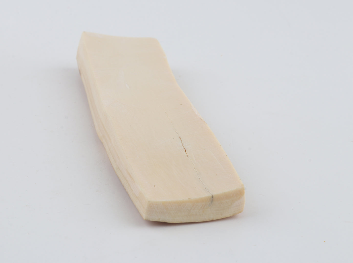Yellow-orange mammoth bark