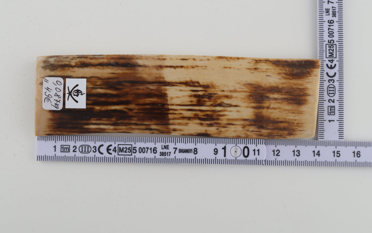 Brown-beige mammoth bark