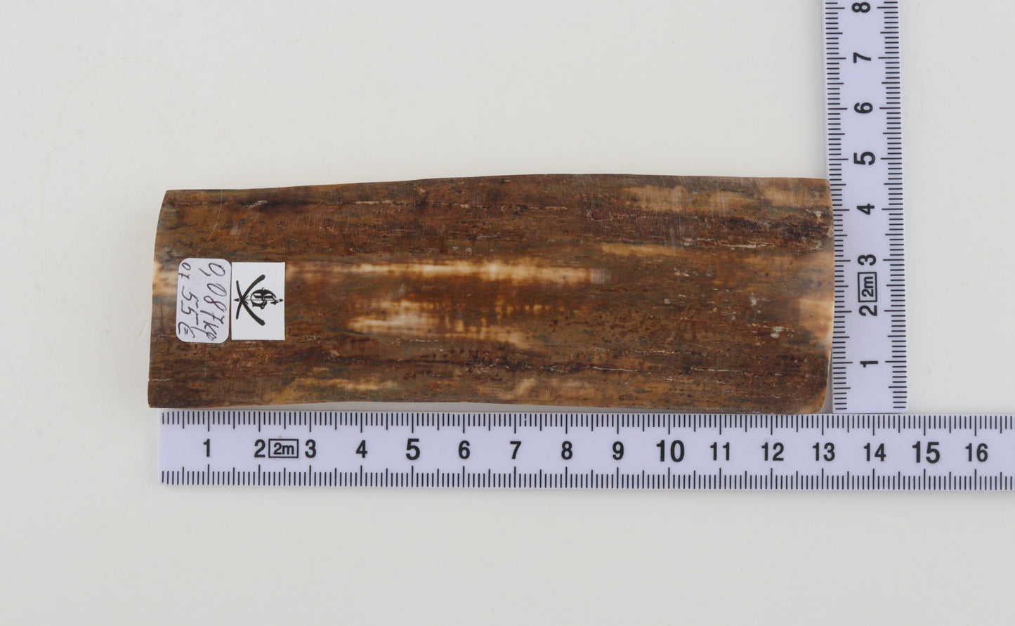 Mustard mammoth bark