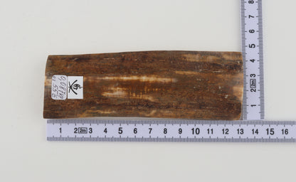 Mustard mammoth bark