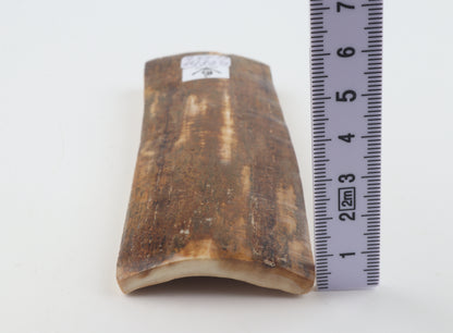 Mustard mammoth bark