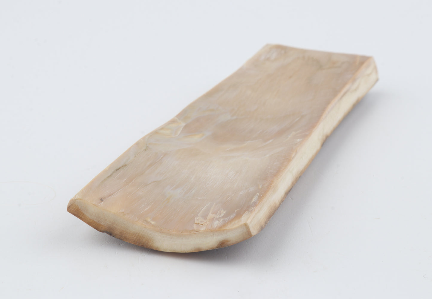 Mustard mammoth bark