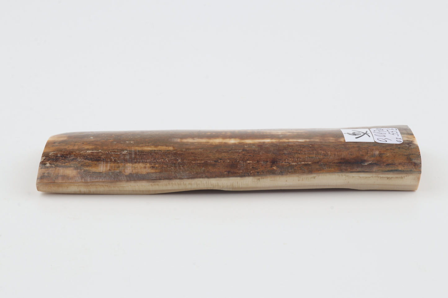 Mustard mammoth bark