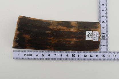 Brown woolly mammoth bark