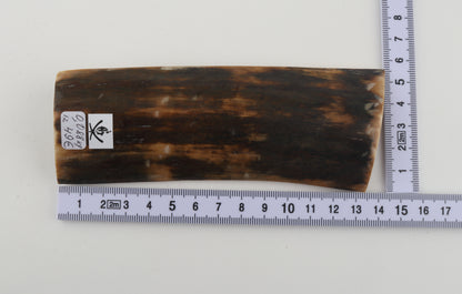 Brown woolly mammoth bark