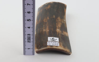 Brown woolly mammoth bark