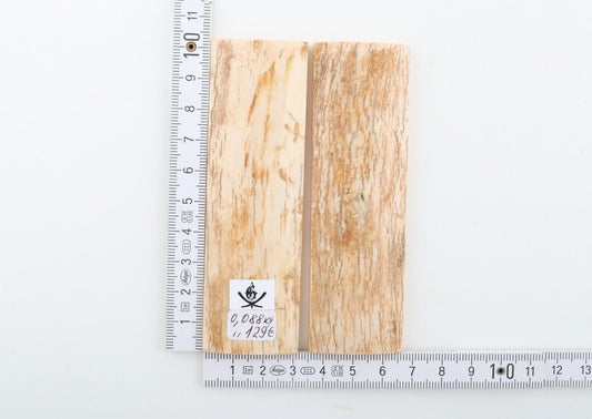 Natural mammoth bark scales