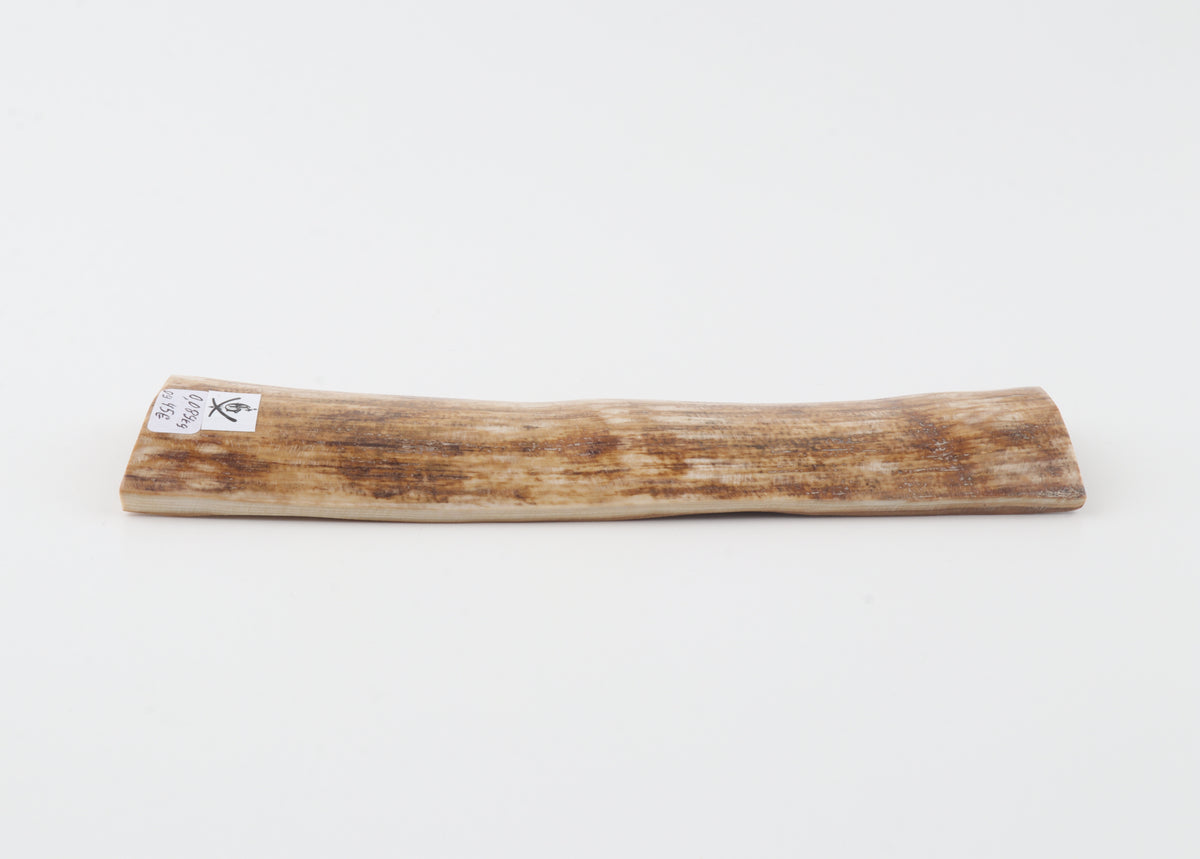 Golden-brown mammoth bark