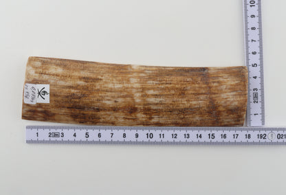 Golden-brown mammoth bark