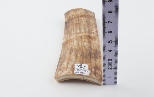 Golden-brown mammoth bark