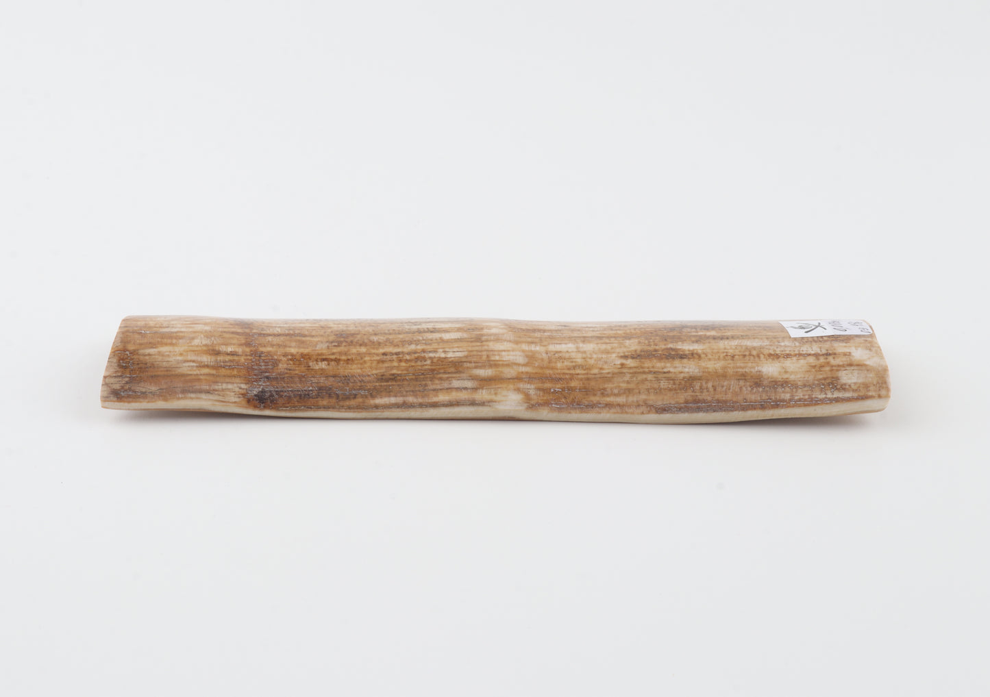 Golden-brown mammoth bark