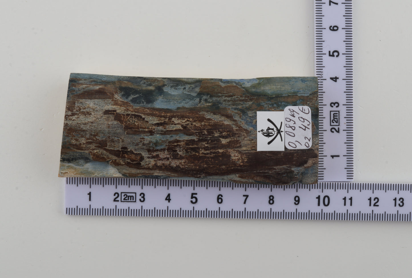 Brown-blue mammoth bark