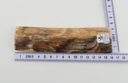 Natural woolly mammoth bark