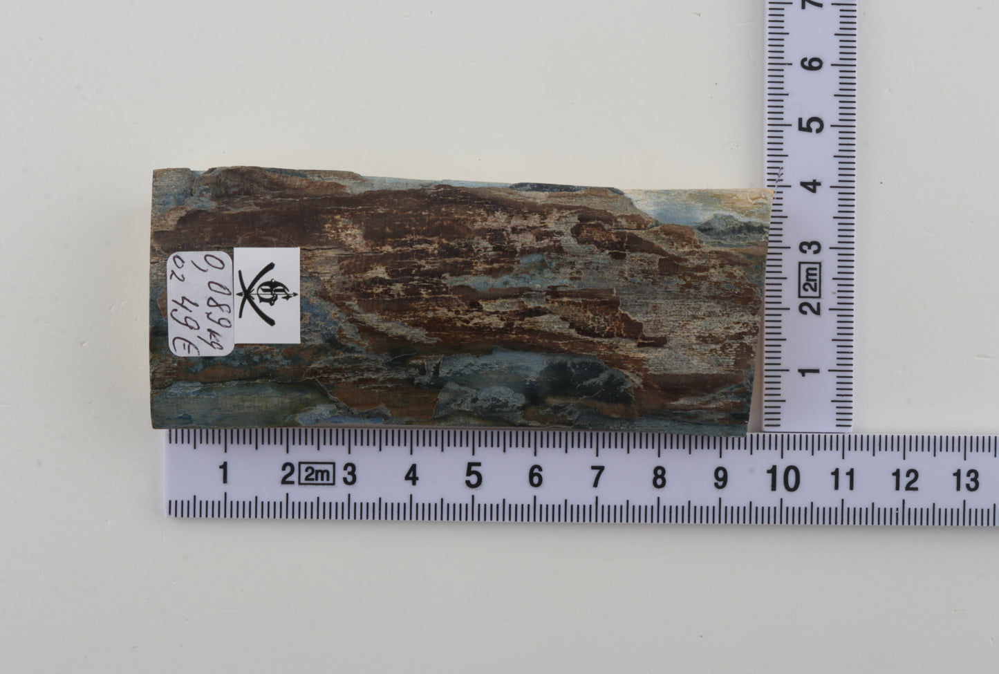 Brown-blue mammoth bark