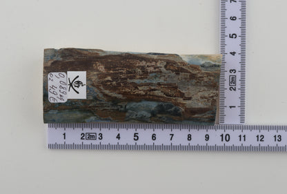 Brown-blue mammoth bark