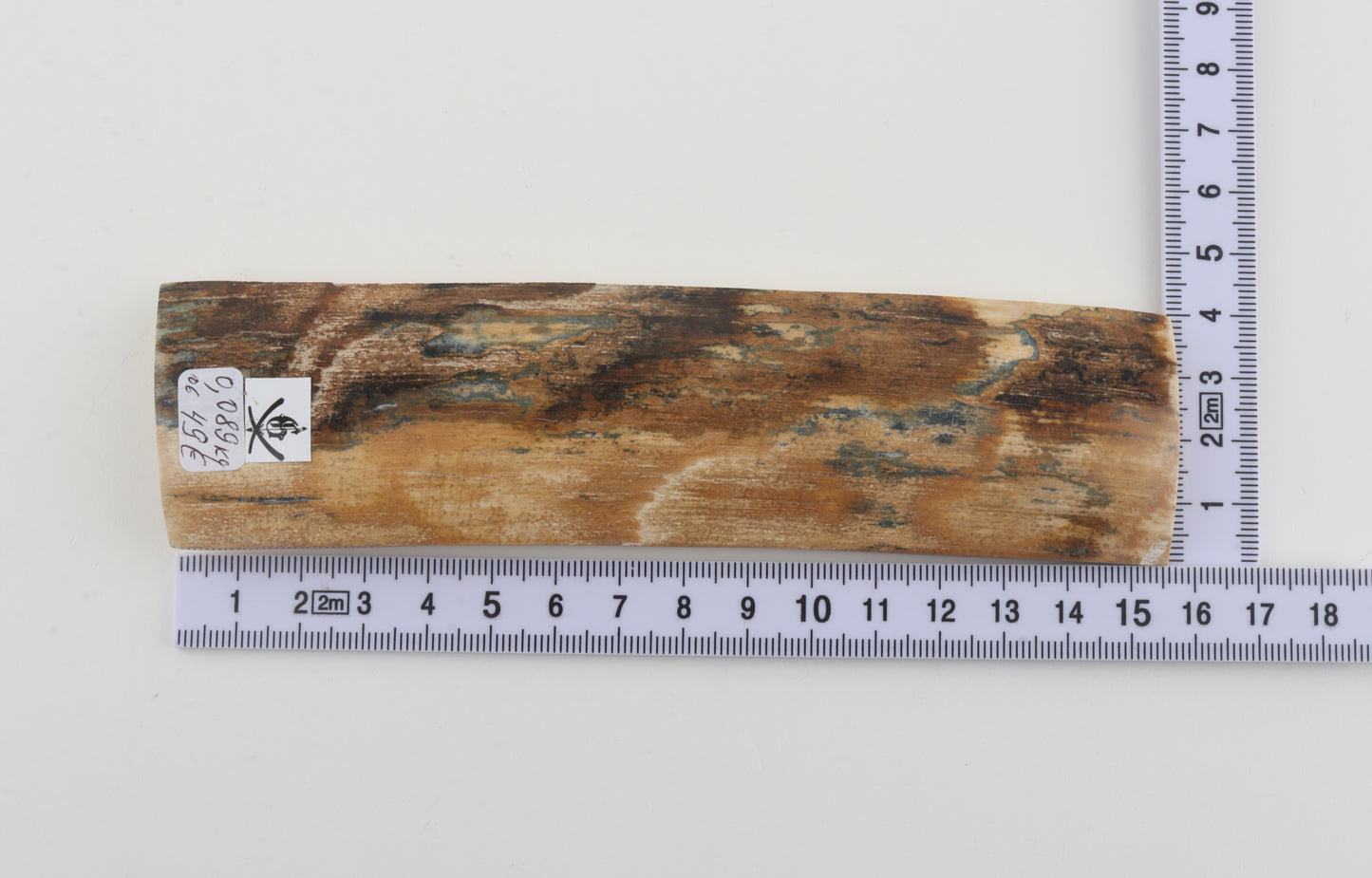 Natural woolly mammoth bark