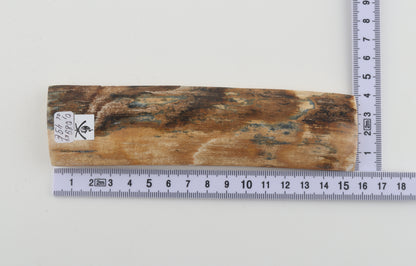 Natural woolly mammoth bark