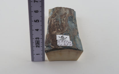 Brown-blue mammoth bark