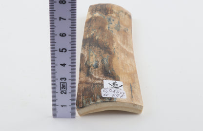 Natural woolly mammoth bark