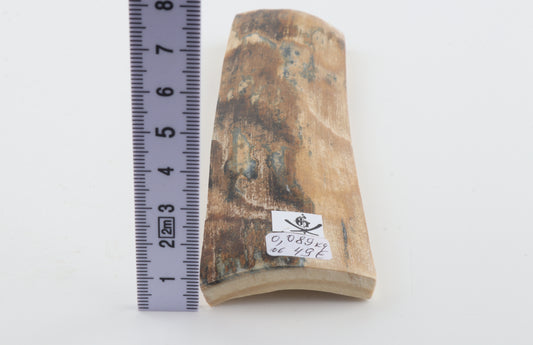 Natural woolly mammoth bark