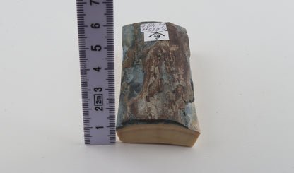 Brown-blue mammoth bark