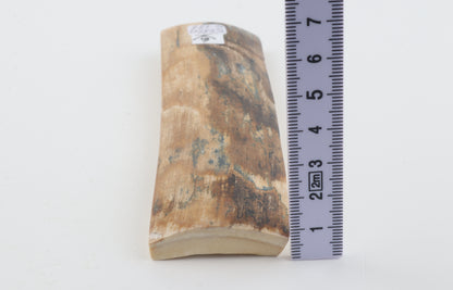 Natural woolly mammoth bark