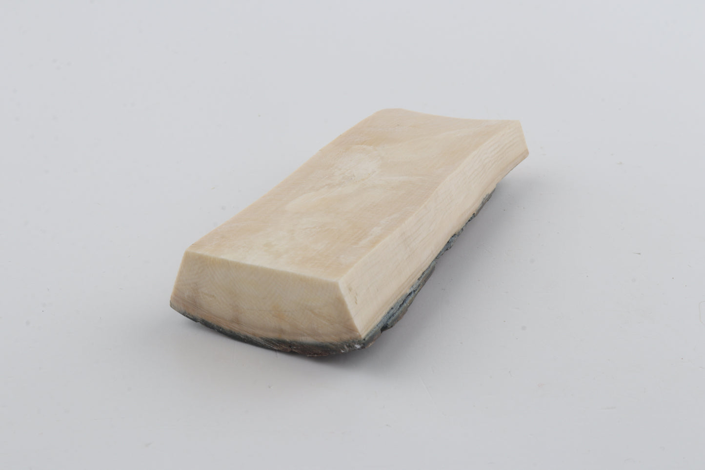 Brown-blue mammoth bark