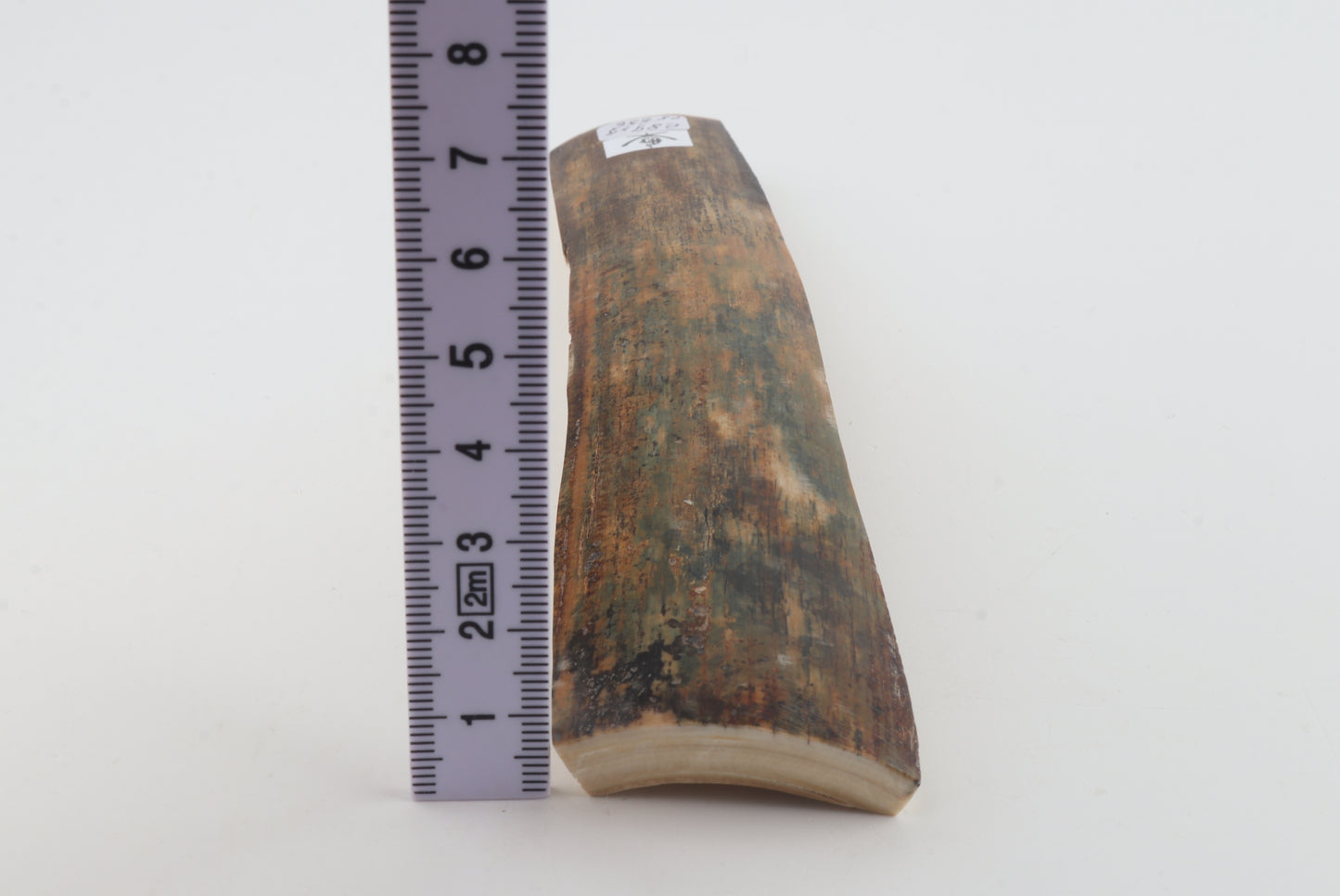 Natural mammoth bark