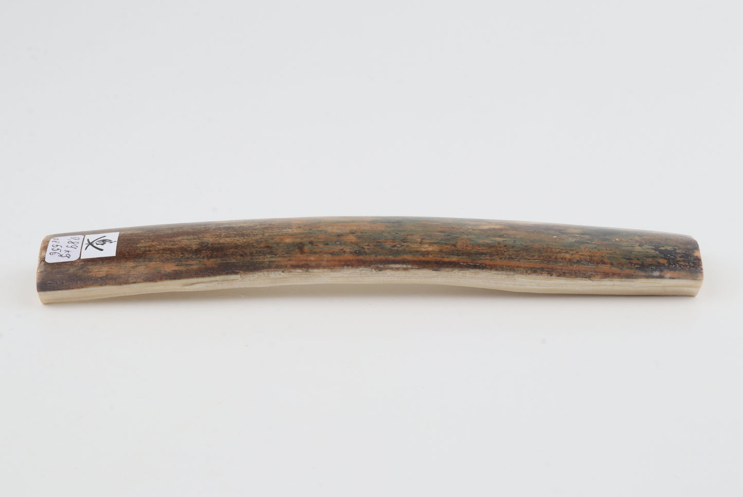 Natural mammoth bark