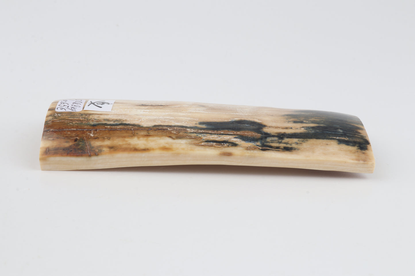 Natural woolly mammoth bark