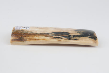 Natural woolly mammoth bark
