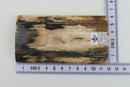 Natural woolly mammoth bark