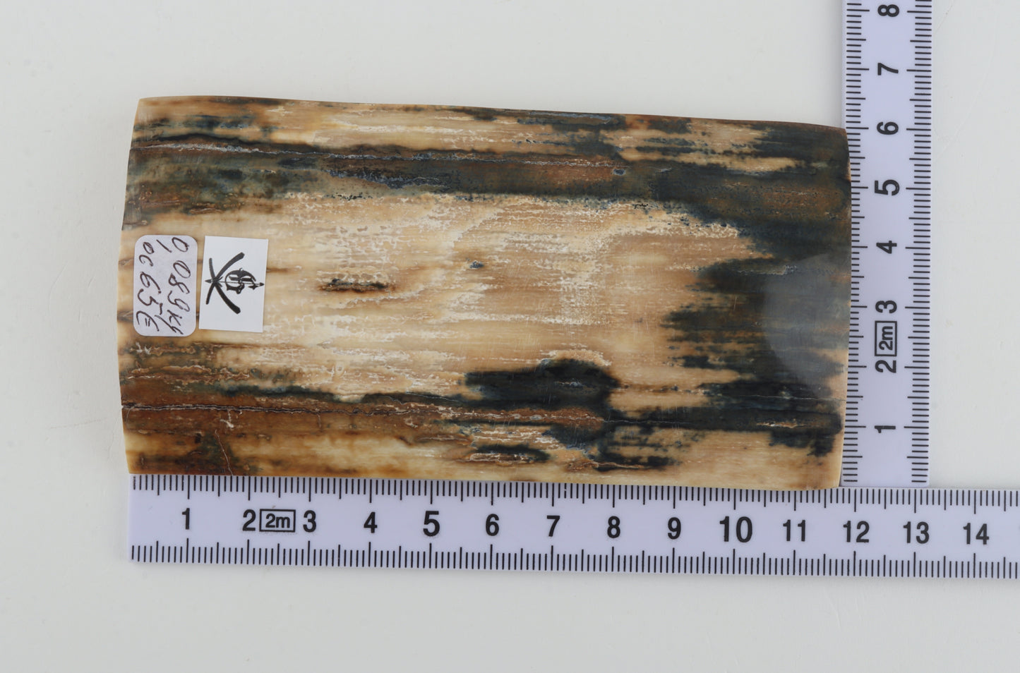 Natural woolly mammoth bark