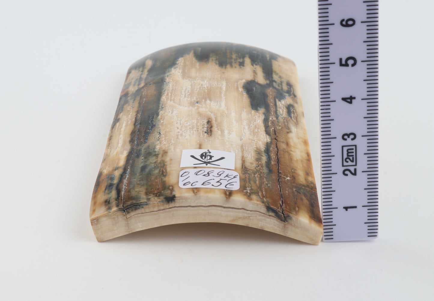Natural woolly mammoth bark