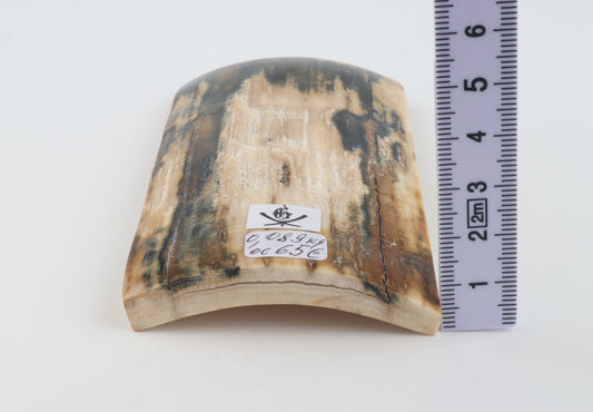 Natural woolly mammoth bark