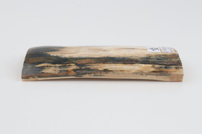 Natural woolly mammoth bark